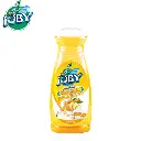 dish-washing-liquid-ginger-regular-3.webp