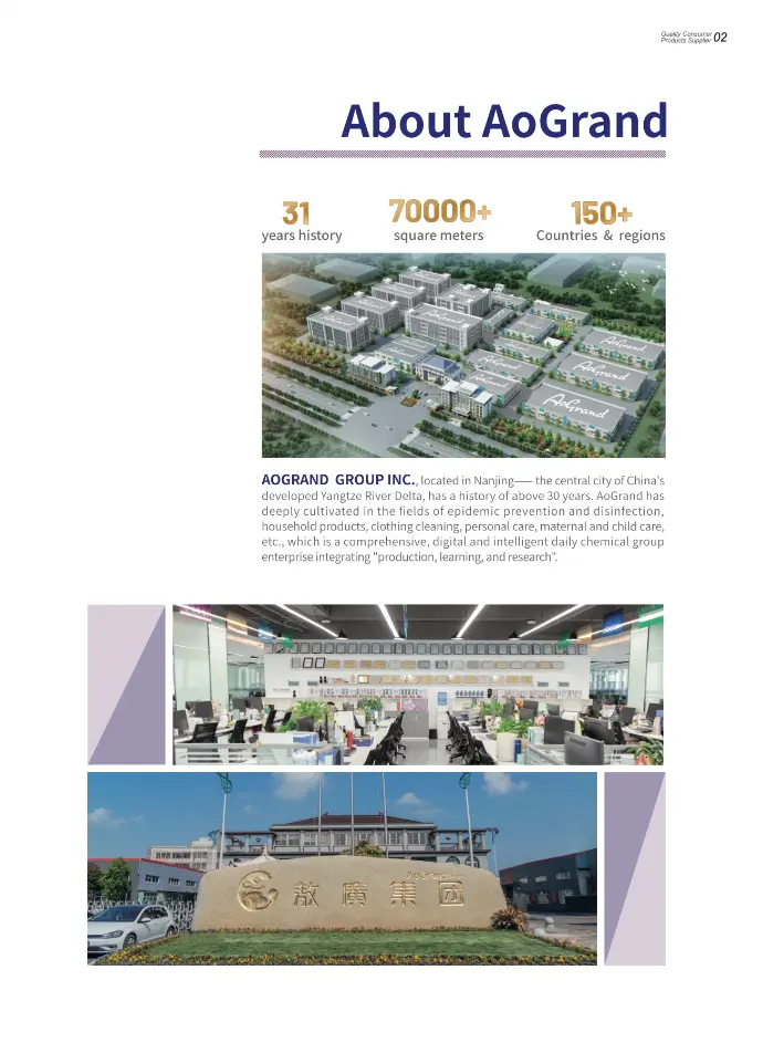 AOGRAND Group factory production line for household chemical and FMCG manufacturing