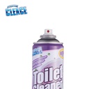 toilet-cleaner-aerosol-cleaner5.jpg