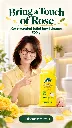 18_JOBY_ROSE_500G_vertical-story_v1.webp