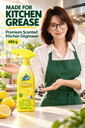 Kitchen Degreaser — Feature