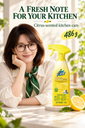 Kitchen Degreaser — Usage Guide