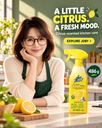 Kitchen Degreaser — Marketing 9